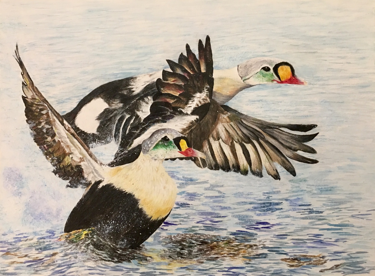 Taking Flight