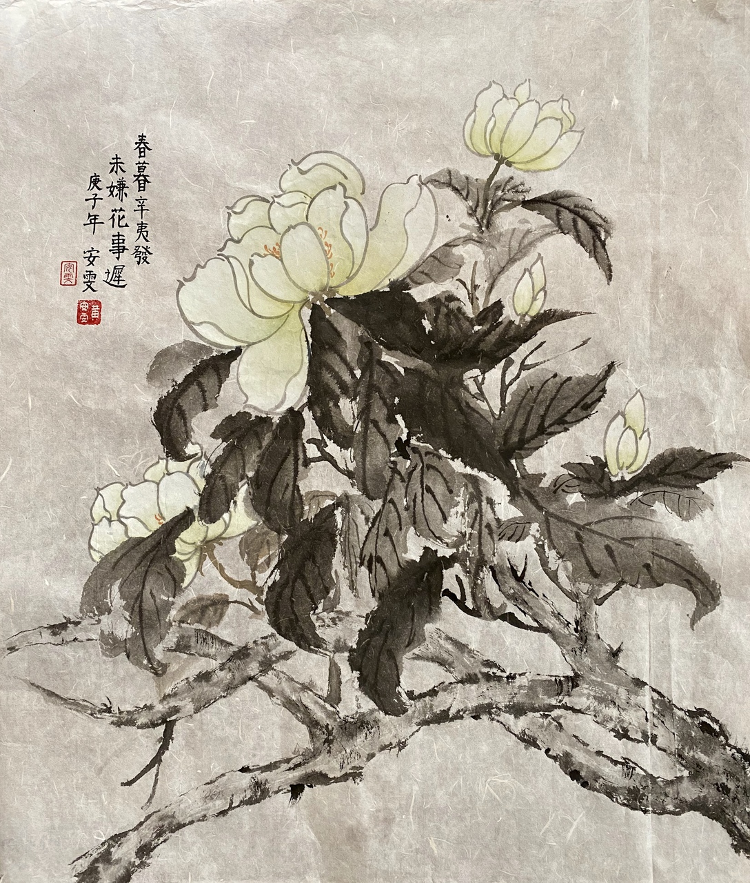 Magnolia