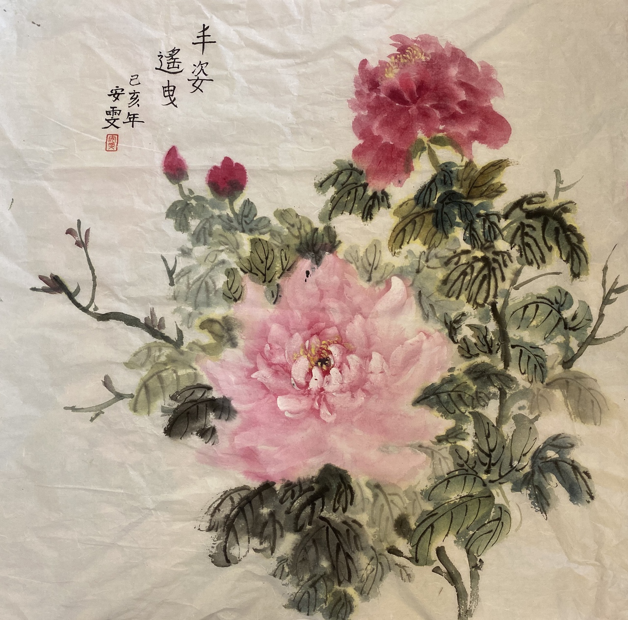 Pink Peony