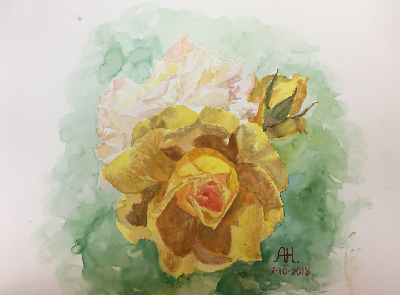 Roses from a Summer Garden
