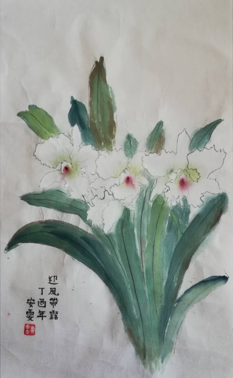 White Irises